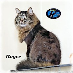 Thumbnail photo of Roger #1