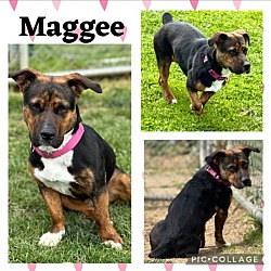 Photo of Maggee