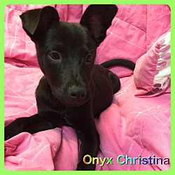 Thumbnail photo of Onyx Christina #3