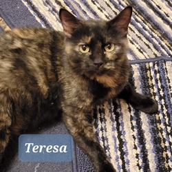 Photo of Teresa