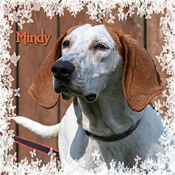 Thumbnail photo of Mindy #4