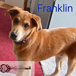 Thumbnail photo of Franklin #2