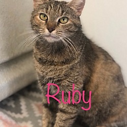 Photo of Ruby M