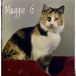 Thumbnail photo of Maggie G #2