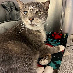 Photo of 2208-1650 Undertaker (Hospice) (Off Site Foster)