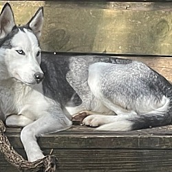 Photo of Leah