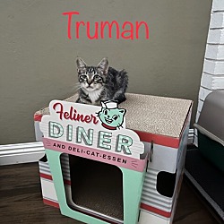 Photo of Truman