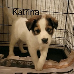 Thumbnail photo of Katrina #1