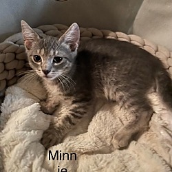 Photo of Minnie Me 24