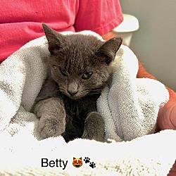 Photo of BETTY
