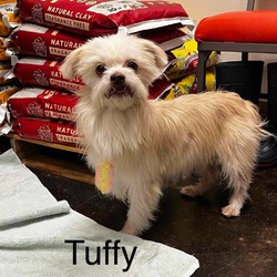 Thumbnail photo of Tuffy #2