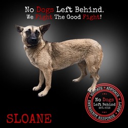 Photo of Sloane 9892