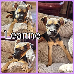 Photo of Leanne