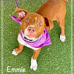 Photo of EMMIE