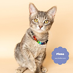 Thumbnail photo of FIONA #2