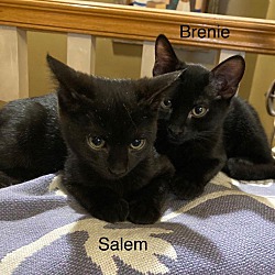 Photo of Salem and Brenie