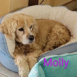 Thumbnail photo of Molly #2