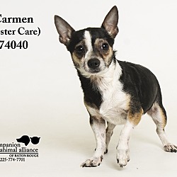 Thumbnail photo of Carmen  (Foster Care) #4