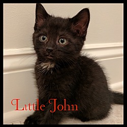 Thumbnail photo of Little John #1