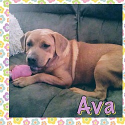 Photo of Ava
