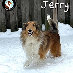 Thumbnail photo of Jerry #2
