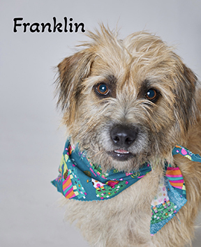 Photo of Franklin