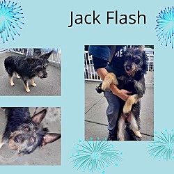 Thumbnail photo of Jack Flash #1