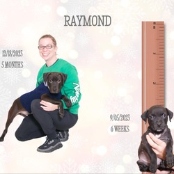 Thumbnail photo of Raymond #4