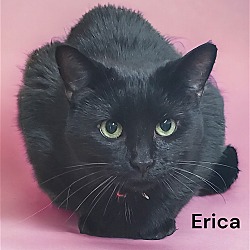 Thumbnail photo of Erica #3