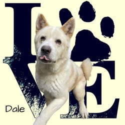 Photo of Dale