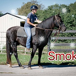 Thumbnail photo of Holiday Special-Smokey for $50 #1
