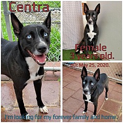 Photo of Centra