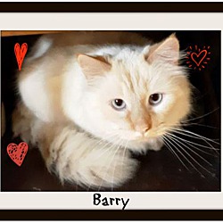 Thumbnail photo of Barry #1