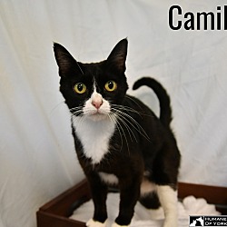 Thumbnail photo of Camilla #2