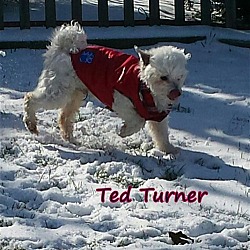 Thumbnail photo of Ted Turner*Adopted #1