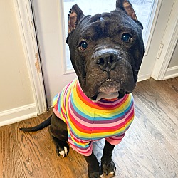 Photo of Queso