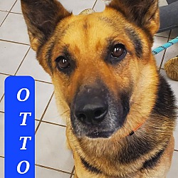 Photo of OTTO