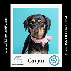 Photo of Caryn (Mom to Caryn's Monsters Inc. Pups) 012724