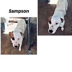 Photo of SAMPSON