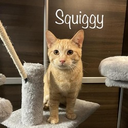 Photo of Squiggy