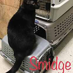Photo of Smidge