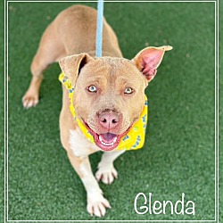 Thumbnail photo of GLENDA #1