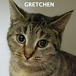 Thumbnail photo of Gretchen #1