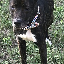 Photo of Hemi