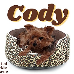 Thumbnail photo of Cody #2