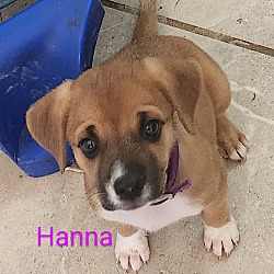 Thumbnail photo of Hanna #2