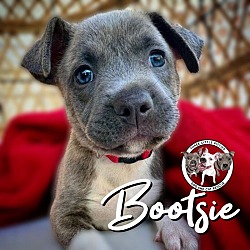 Photo of Bootsie SUMMER