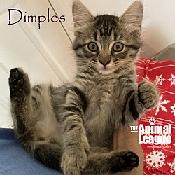 Thumbnail photo of Dimples #4