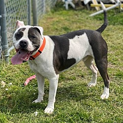 Photo of 2303-1702 Rocky