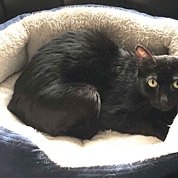 Thumbnail photo of Stella #1